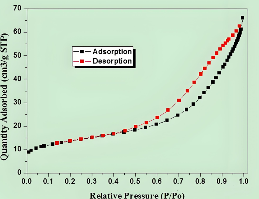 Analysis of BET specific surface area test: from principle to data