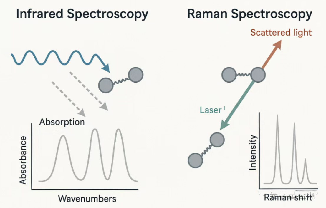 How to distinguish between infrared spectroscopy and Raman spectroscopy