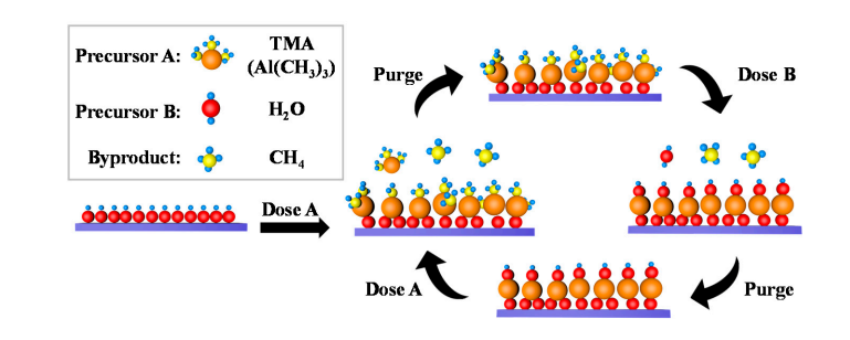 How are surface hydroxyl groups (- OH) formed?