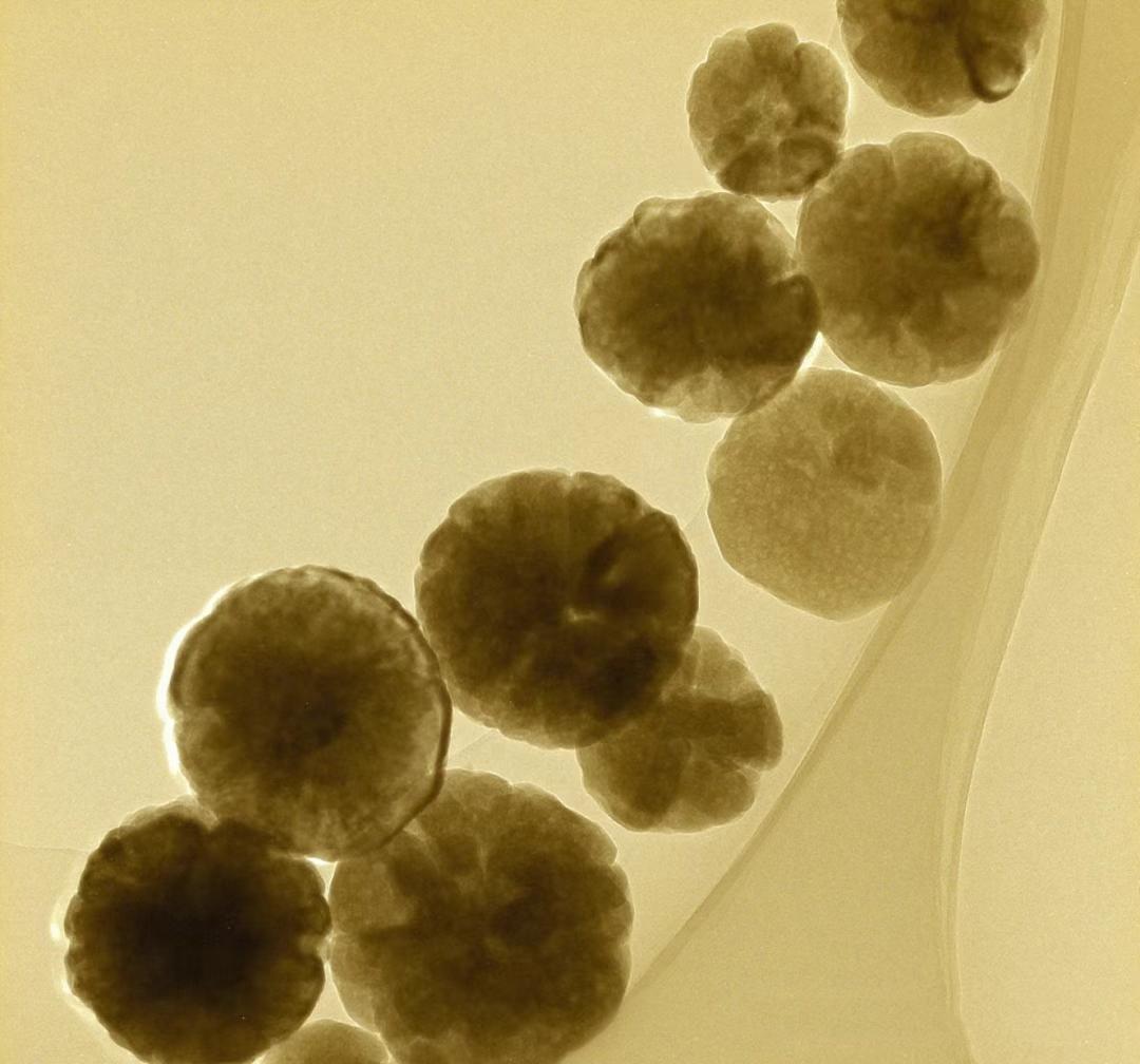 fe3o4 nanopowder